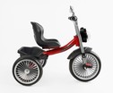 Дитячий велосипед 3-х колісний EVA (піна) Best Trike колеса 10-8, BS-69116 червоний, сталева рама, УКР. ОЗВУЧУВАННЯ, кошик фото westvelo.com
