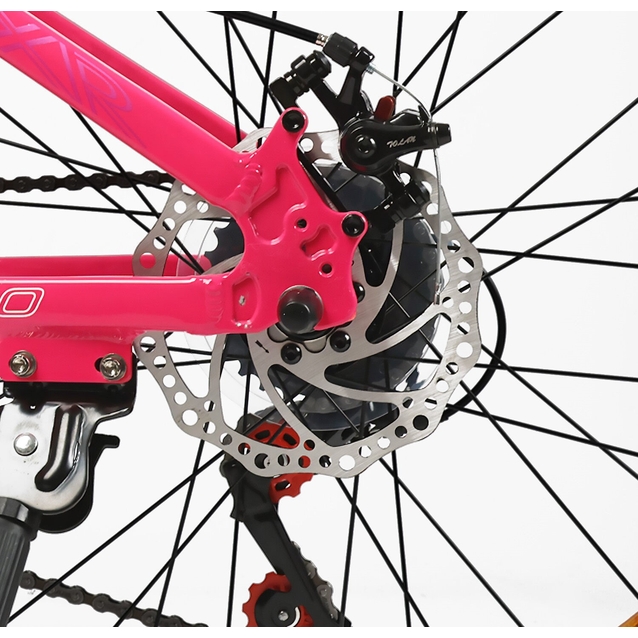 Велосипед 26 AL Corso «PROJECT»  RJ-26218 алюміній 13", (к-т SunRun) рожевий фото westvelo.com