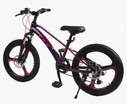 Велосипед 20 MG Corso «FXX» MG-20312 магній 11", (к-т SHIMANO) фіолетово-рожевий фото westvelo.com
