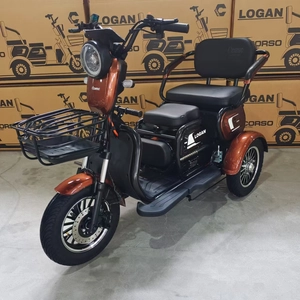 Трицикл Corso «LOGAN» LN-120073, двигун 1200W, акумулятор 72V/23Ah графеновий, коричневий + 1 ящик. акум, колеса 10"