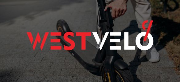 Что интересует предпринимателей, когда те покупают электросамокаты оптом? фото від westvelo.com