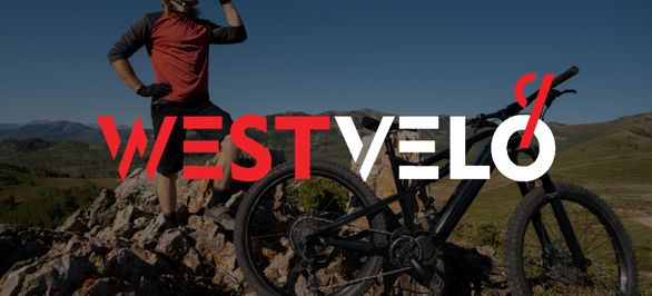 Почему туристическим базам выгодно инвестировать в электрический транспорт оптом для посетителей? фото від westvelo.com