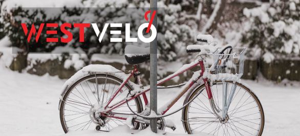 Почему стоит покупать велосипед чтобы поддерживать здоровый образ жизни? фото від westvelo.com