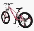 Велосипед 24 AL Corso «EVOLUTION» EV-24101 алюміній 11", (к-т SHIMANO) рожевий фото westvelo.com