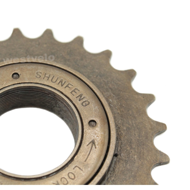 Зірка задня freewheel різьбова 24 зуби Shunfeng коричнева фото westvelo.com