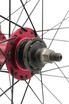 Колесо 26 зад, обід 2-ний чорн.диск, пістонований, втул. AL TATU-BIKE (36h) SINGLE SPEED червона, диск 6 болт,чорна спиця фото westvelo.com