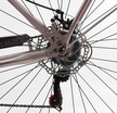 Міський велосипед 28 ST Corso «LIBERTY» LR-28833 сталь 20", (к-т SHIMANO) рожевий + кошик фото westvelo.com