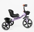 Дитячий велосипед 3-х колісний EVA (піна) Best Trike колеса 10-8, BS-28-474 фіолетовий, сталева рама, озвучування фото westvelo.com