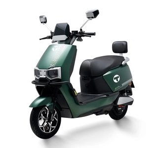 Електроскутер Tairon «TF» 719332, двигун 2000W, акумулятор 72V 38Ah графеновий, зелений, колеса 10"