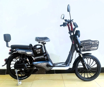 Електровелосипед 20 ST Corso «ATLANT» TL-32966 сталь, двигун 800W, акумулятор 48V20Ah літієвий, сірий