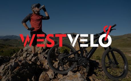 Чому туристичним базам вигідно інвестувати в електричний транспорт оптом для відвідувачів?