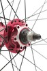 Колесо 26 зад, обід 2-ний чорн.диск, пістонований, втул. AL TATU-BIKE (36h) SINGLE SPEED червона, диск 6 болт,чорна спиця фото westvelo.com