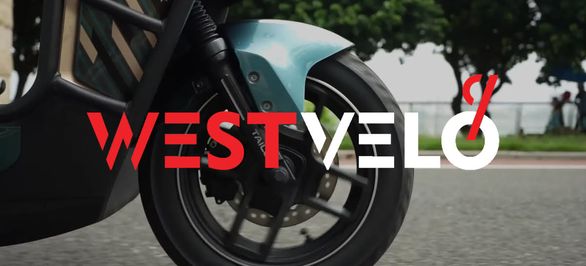 Электроскутеры TAILG оптом, увеличивающие продажи: как выбрать модели для магазина? фото від westvelo.com