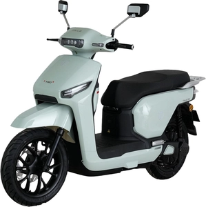 Електроскутер Tailg «T-80» GR-709, двигун 2500W, акумулятор 72V 38Ah графеновий, м'ятний, колеса 14" + 1 ящик. акум