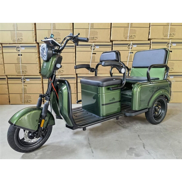 Трицикл «Consul» NL-673200, двигун 1200W, акумулятор 72V 23Ah графеновий, зелений + 1 ящик. акум, колеса 10" фото westvelo.com