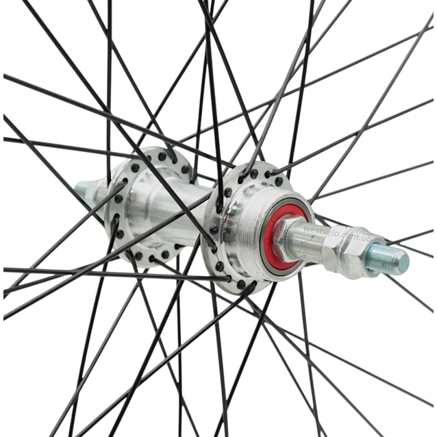 Колесо 24 зад, обід 2-ний чорний, втулка AL на промах, диск різьба, чорна спиця фото westvelo.com