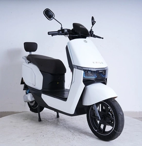 Електроскутер Tailg «F-71» E01, двигун 1500W, акумулятор 72V 38Ah графеновий, білий, колеса 12"