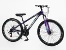 Велосипед 26 ST Corso «GLOBAL» GL-26105 сталь 13", (к-т Saiguan), темно-фіолетовий фото westvelo.com