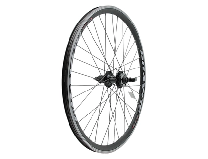 Колесо 26 зад, обід 2-ний чорний, втулка AL NECO MS37R касета (8-10S), диск 6 болтів, ексцентрик, чорна спиця (Gravity)