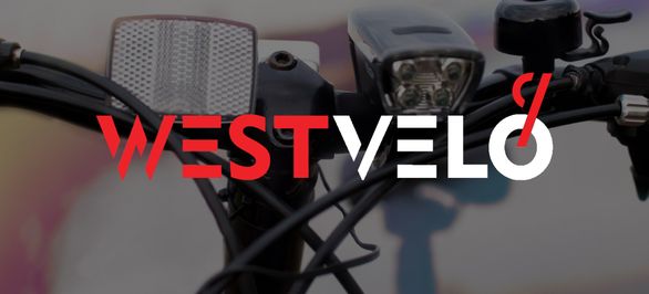 Почему велосвет оптом это must-have для любого бизнеса? фото від westvelo.com