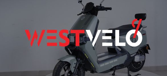 Благодаря чему скутеры электрические TAILG оптом покорили украинский рынок? фото від westvelo.com