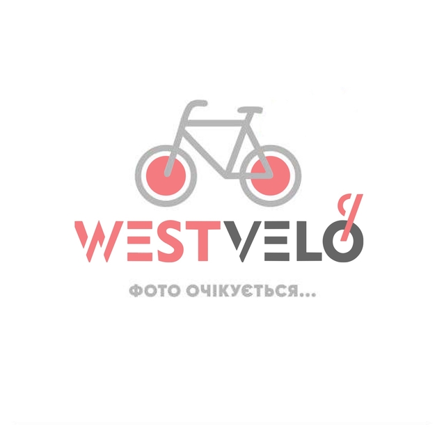Колесо 28-29 зад, обід AL 1-ний сірий, втулка AL. на віночках фото westvelo.com