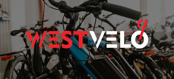 Аналіз попиту на електровелосипеди та електросамокати оптом: які моделі будуть популярні серед споживачів? фото від westvelo.com