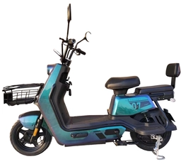 Електровелосипед Corso «EXELLENT» EX-15588 двигун 500W, акумулятор 60V/20Ah, хамелеон(синьо-фіолет)