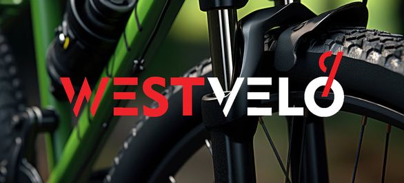 Большой гайд о товарах для веломагазина оптом от WestVelo: как сформировать ассортимент, который продается целый сезон? фото від westvelo.com