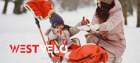 Как подготовить сани к новому зимнему сезону? ТОП 3 совета от Westvelo фото від westvelo.com