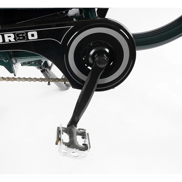 Електровелосипед 22 ST Corso «SHADOW» SH-8036-9 сталь, двигун 500W, акумулятор 48V20Ah літієвий, темно-зелений фото westvelo.com