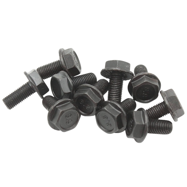 Болт на вал каретки мтв (М8х1, під головку 14мм) фото westvelo.com