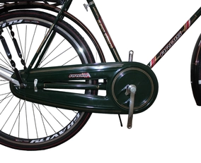 Міський велосипед 28 ST Ardis «ПАЯНА М» сталь, темно-зелений