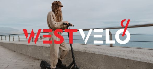 В чем преимущества электросамокатов бренда Best Scooter оптом для бизнеса? фото від westvelo.com