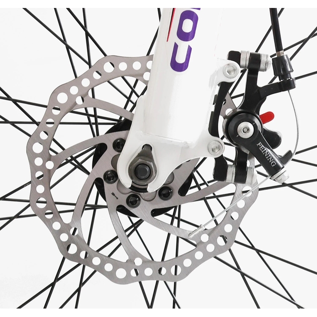 Велосипед 26 ST Corso «INTENSE» NT-26906 сталь 13", (к-т Saiguan) рожевий фото westvelo.com