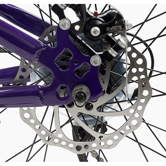 Велосипед 26 ST Corso «GLOBAL» GL-26105 сталь 13", (к-т Saiguan), темно-фіолетовий фото westvelo.com
