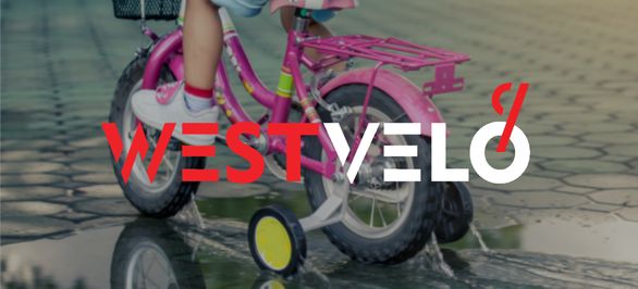Почему стоит выбрать велосипед 3 колесный и в чем его преимущества? фото від westvelo.com