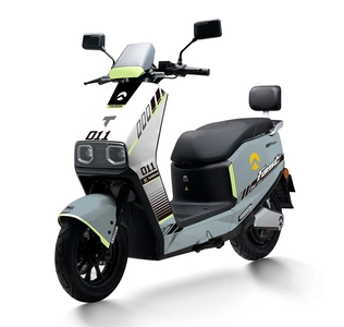 Електроскутер Tairon «FS» 667310, двигун 2000W, акумулятор 72V 48Ah літій-залізо-фосфатний, біло-сірий, колеса 12/10"