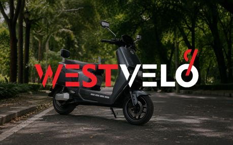 Наскільки електричний транспорт TAILG оптом вигідний для продажу в дачний сезон?