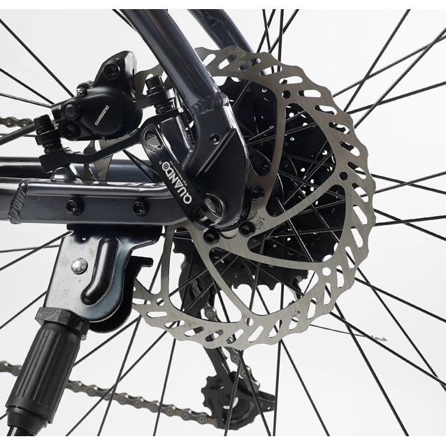 Велосипед 29 AL Corso «ENIGMA» NG-29078 алюміній 19", (к-т SHIMANO) зелений фото westvelo.com