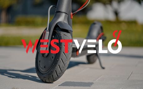 Какой электрический транспорт оптом купить начинающим предпринимателям для хорошего старта бизнеса?