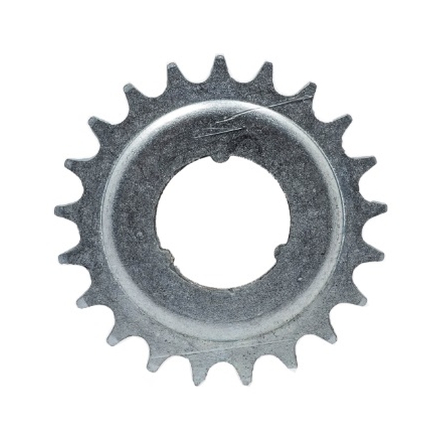 Зірка задня 22 зуби нікель фото westvelo.com