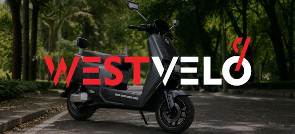 Насколько электрический транспорт TAILG оптом выгоден для продажи в дачный сезон? фото від westvelo.com