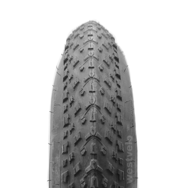 Покришка 20-4.0 (для FAT Bike) DSI Шрі-Ланка (107) фото westvelo.com