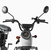 Електровелосипед 20 ST Corso «FORTEX» FR-9523-4 сталь, 500W, акум 48V20AH, білий фото westvelo.com