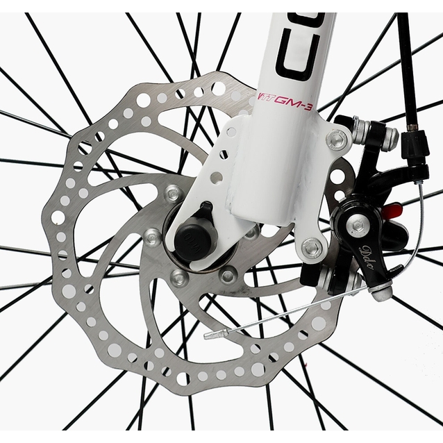 Дитячий велосипед 20 AL Corso «TAYGER» TG-20574 алюмінієва рама, дискові гальма, рожевий фото westvelo.com