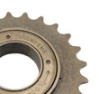 Зірка задня freewheel різьбова 24 зуби Shunfeng коричнева фото westvelo.com