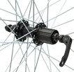 Колесо 26 зад, обід 2-ний чорний, втулка Joy Tech, касета (8-10S), ексцентрик (Gravity) фото westvelo.com