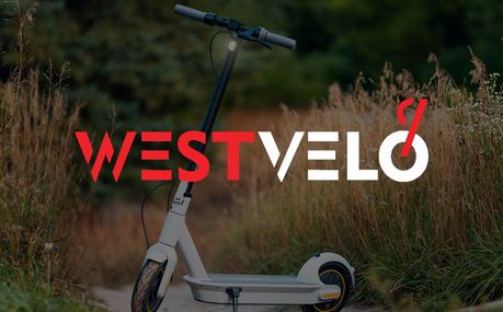 Як підприємцям вдало купити електросамокати оптом і що потрібно знати?