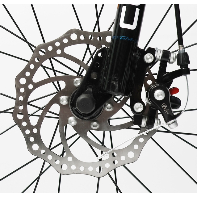 Дитячий велосипед 20 AL Corso «TAYGER»  TG-29916 алюмінієва рама, дискові гальма, синій фото westvelo.com